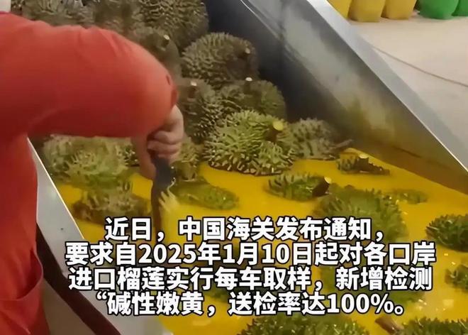 泰国大量水果腐烂只因中文标语惹众怒中国游客：烂光也不买(图23)