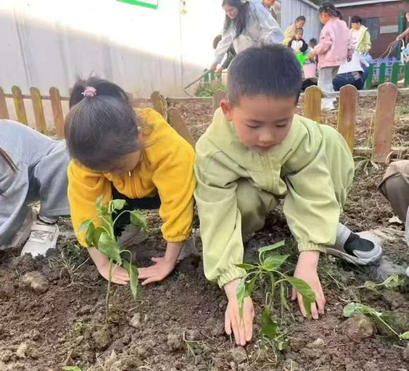 家长助教 共育新苗阜阳市颍东区插花镇闸南幼儿园开展家长进课堂亲子种植活动(图3)