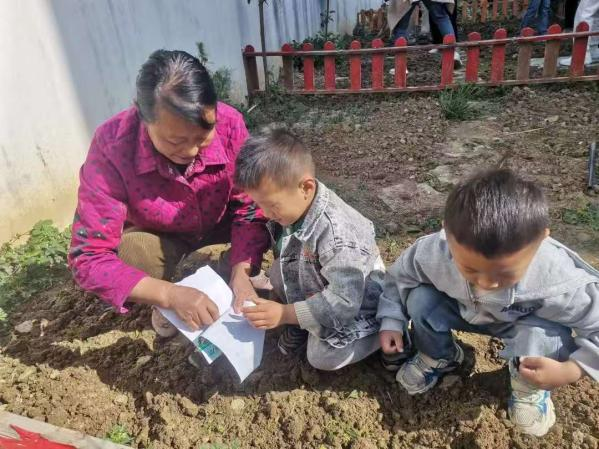 家长助教 共育新苗阜阳市颍东区插花镇闸南幼儿园开展家长进课堂亲子种植活动(图4)