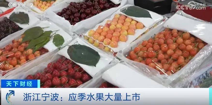 大ope体育入口跳水暴降50%(图1) 大ope体育入口跳水暴降50%(图1)