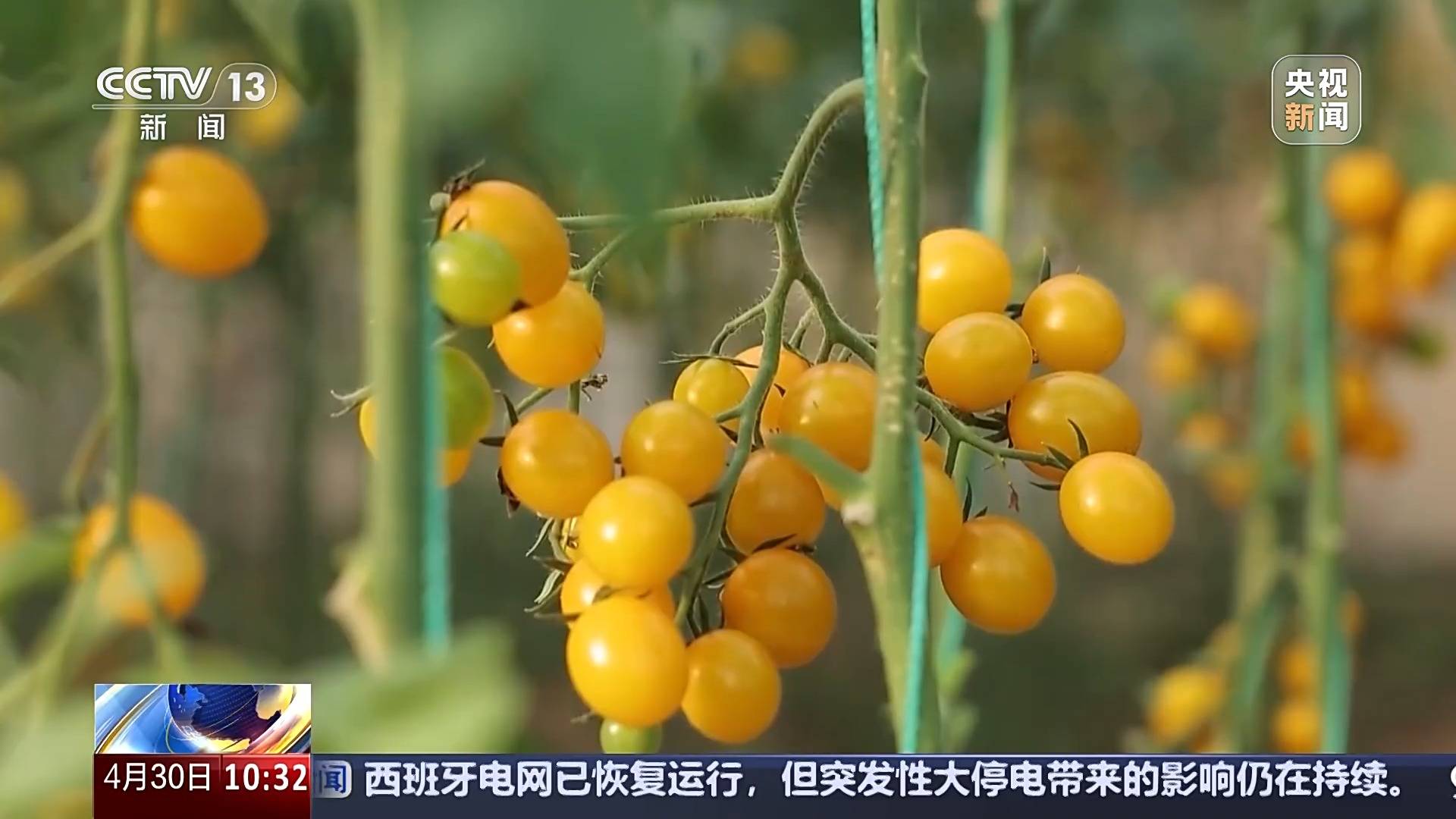 ope体育入口供应充足 品种丰富 价格稳定 五一假期“菜篮子”供应有保障(图1)