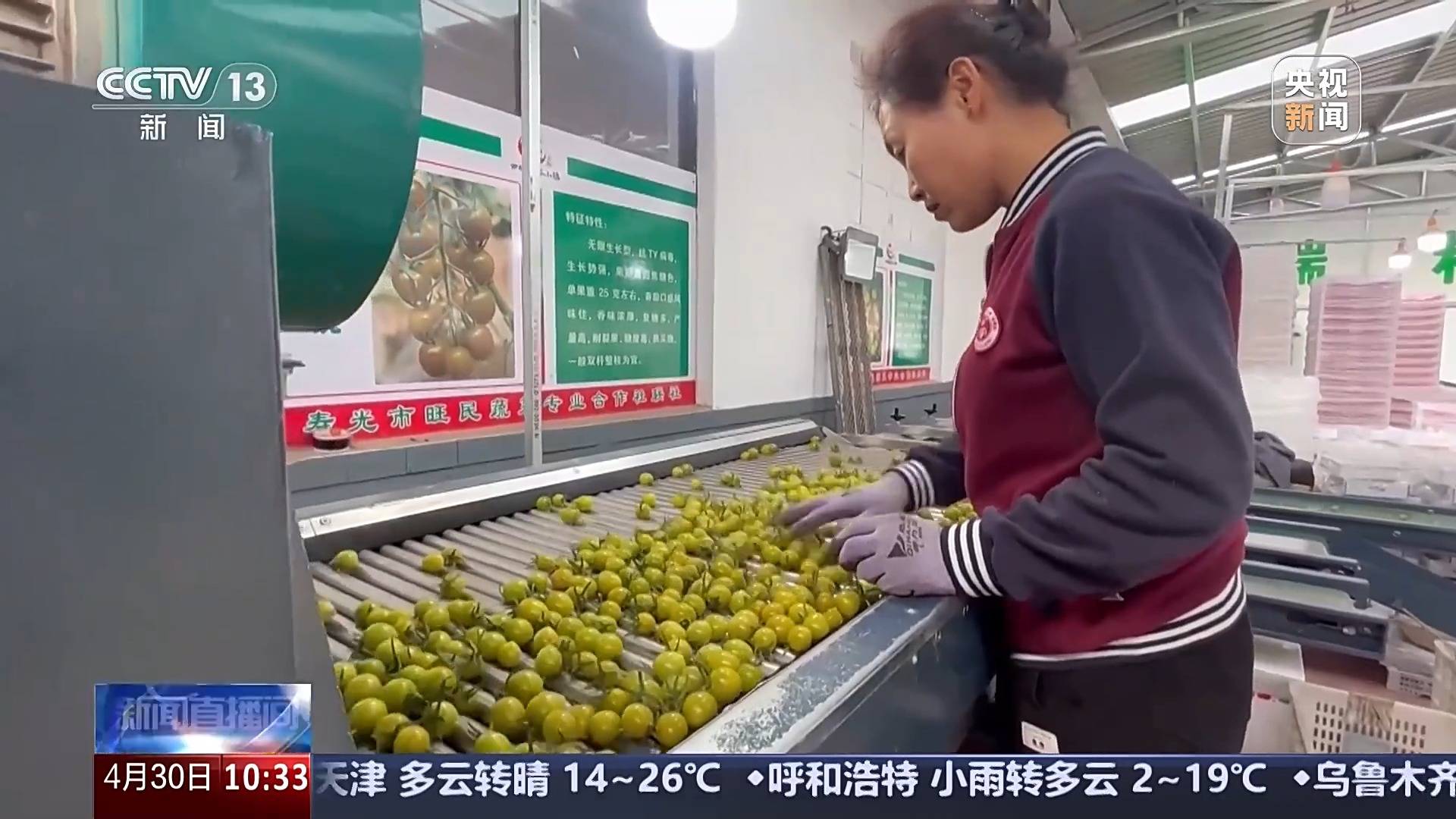 ope体育入口供应充足 品种丰富 价格稳定 五一假期“菜篮子”供应有保障(图2)