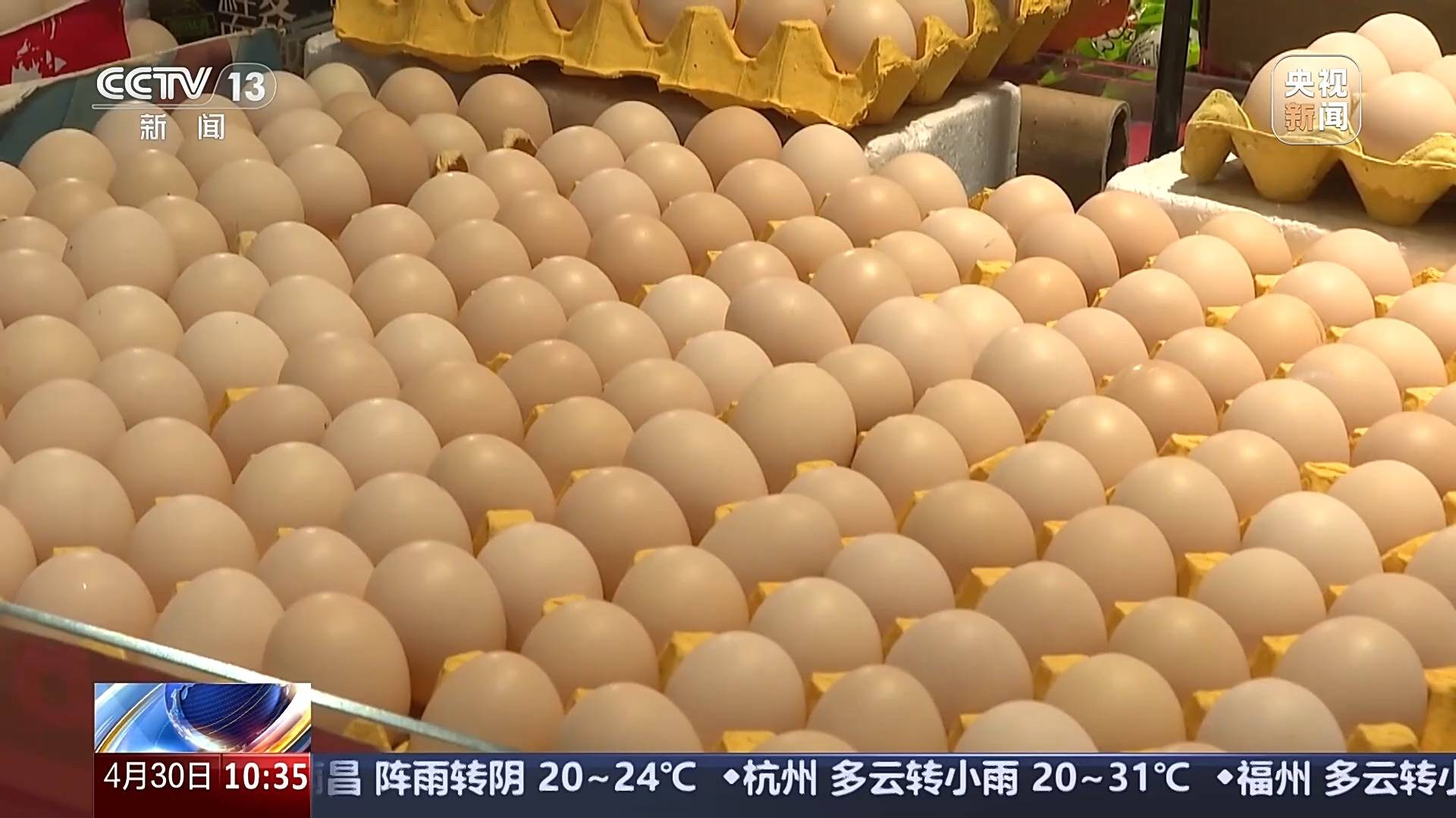 ope体育入口供应充足 品种丰富 价格稳定 五一假期“菜篮子”供应有保障(图6)